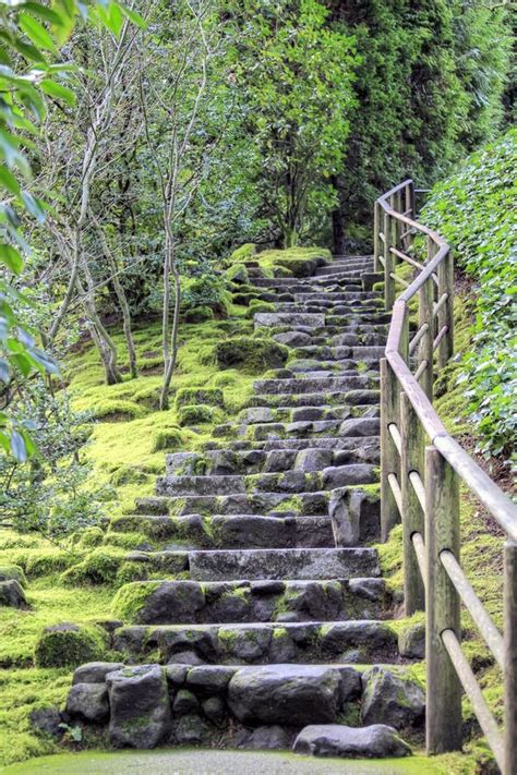 Stone Stairs At Japanese Garden Stock Photo Image Of Moss Forest