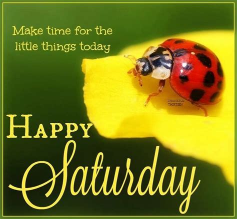 You are currently reading about 10 animated saturday quotes and sayings. Make Time For Little Things Happy Saturday Pictures, Photos, and Images for Facebook, Tumblr ...