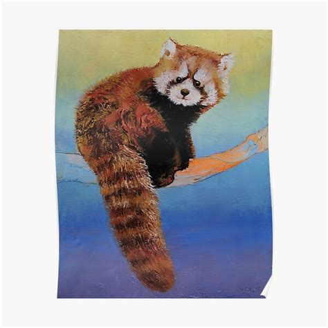 Cute Red Panda Poster By Michaelcreese Redbubble