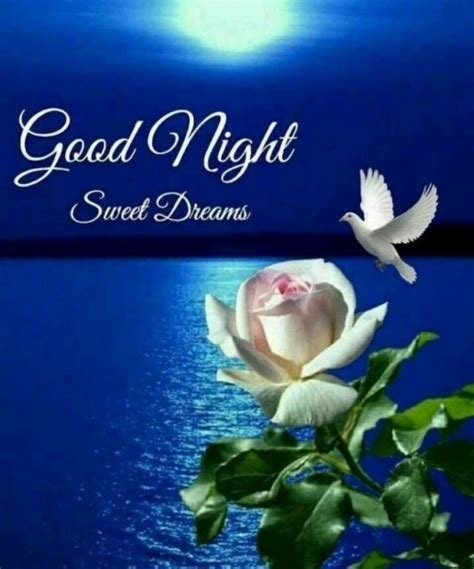 Beautiful love images for facebook dp & whatsapp profile pic. New Good Night Whatsapp Images Free Download For Whatsapp ...