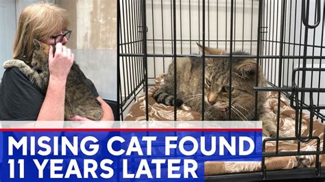 Cat Missing For 11 Years Reunited With Owner Youtube