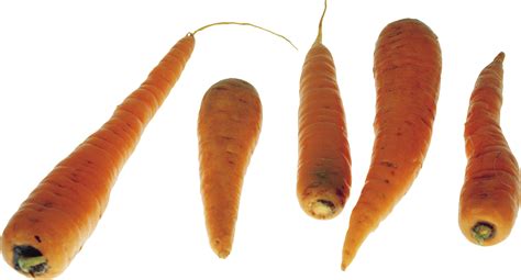 Carrot Png Images Transparent Background Png Play