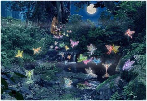 Night Fairies Fairy Wallpaper Fairy Pictures Fairy Magic