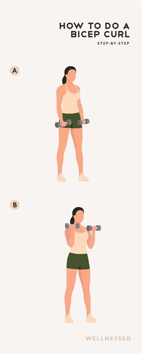 How To Do A Bicep Curl Illustrated Exercise Guide