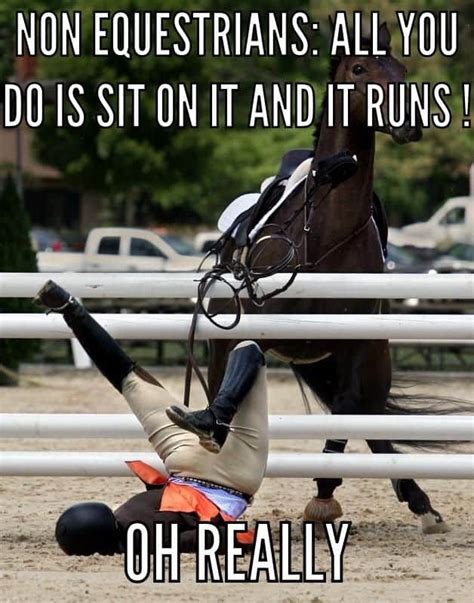 17 Of Our Favorite Equestrian Memes Horse Quotes Funny Funny Horse