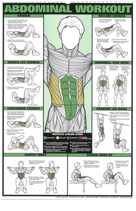 Abdominal Workout Abdominal Exercises Abs Workout Workout Posters