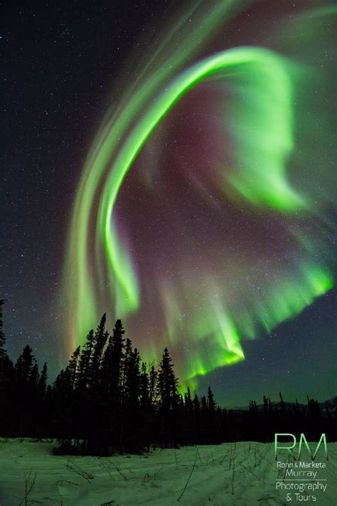 Northern Lights In Fairbanks In March