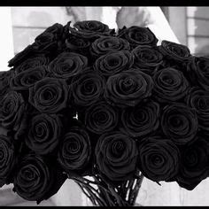 Rare flowers black flowers purple roses exotic flowers pretty flowers black roses tropical flowers colorful roses annual flowers. 22 Best Black Magic Rose images | Rose, Black flowers, Flowers