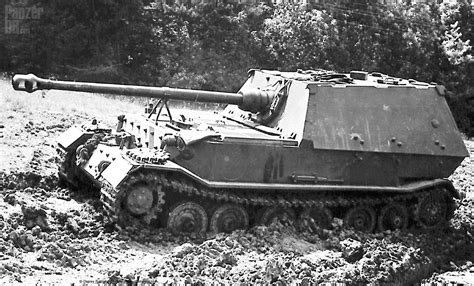 Actually the 90 ferdinands or elephants built where tiger p chassis that were in initial production and were rebuilt as ferdinands when the henschel design won out. Inséré | Tanks military, Ferdinand, German tanks