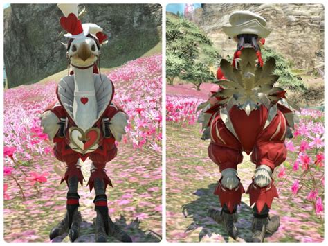 Exceptionally Cute Valentione Chocobo Armor Authentic Paramour Barding