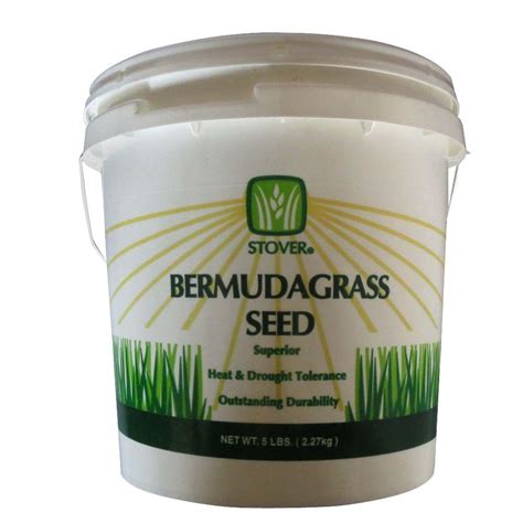 How To Bermuda Grass Seed Erik Mclaughlin Berita
