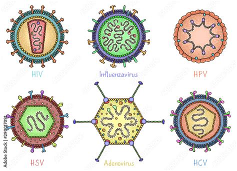 Vecteur Stock Set Of Different Viruses In Hand Drawn Style Color