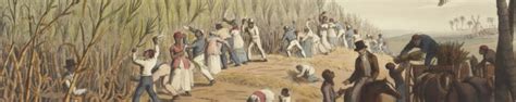 The 1619 Project On The Legacy Of Slavery In The Us