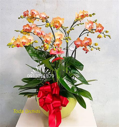 Gợi ý nên tặng quà gì nhân ngày của mẹ. Ngày 20/10 Nên Tặng Hoa Gì Mẹ Vợ, Người Yêu Bạn Ngày Phụ ...