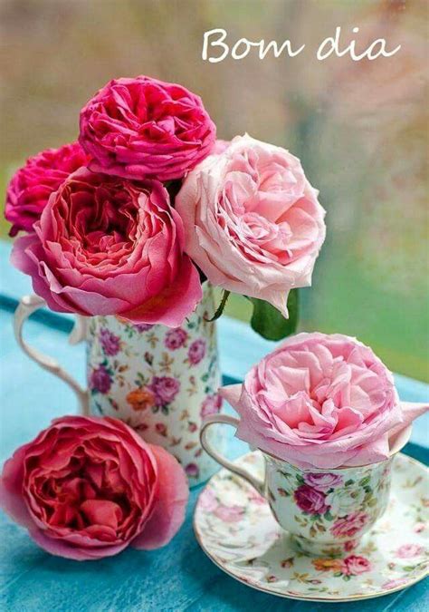 Bom Dia Teacup Flowers Flowers Rose