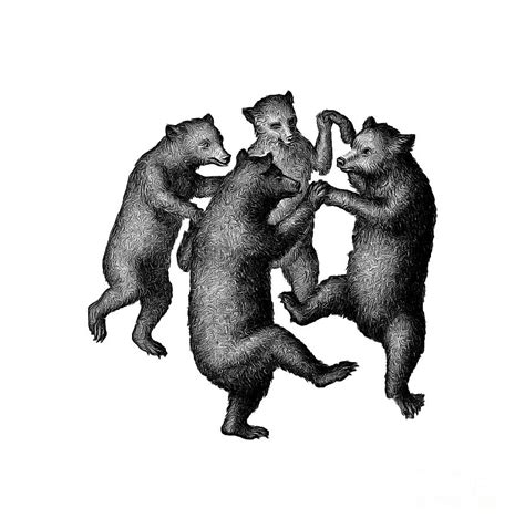 Vintage Dancing Bears Drawing By Edward Fielding Fine Art America