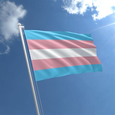 PrideOutlet Flags Transgender X Polyester Flag W Metal Grommets And A Cotton Heading