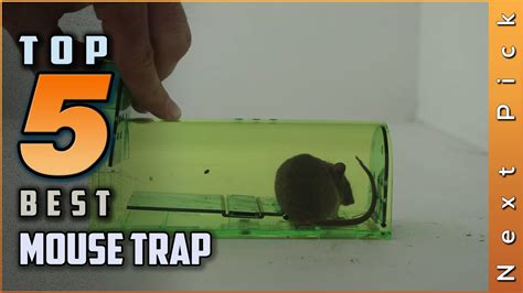 Top 5 Best Mouse Traps Review In 2023 Youtube