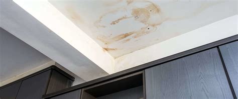 Does homeowners insurance cover mold from roof leak?