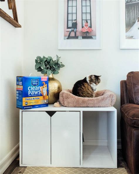 20 diy cat litter box ideas + hidden litter box