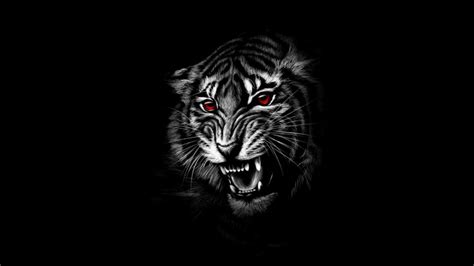 Red Eye Tiger Wallpaper Backiee