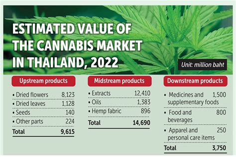 Bangkok Post Cannabis Valued At B43bn By 2025