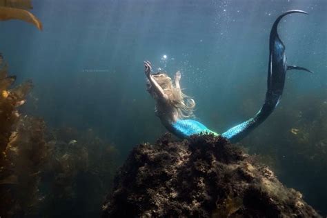 The Oceans Sirens With Images Realistic Mermaid Realistic Mermaid
