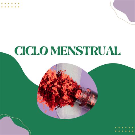 Ciclo Menstrual Entenda As Fases Cursau Educa O Blog