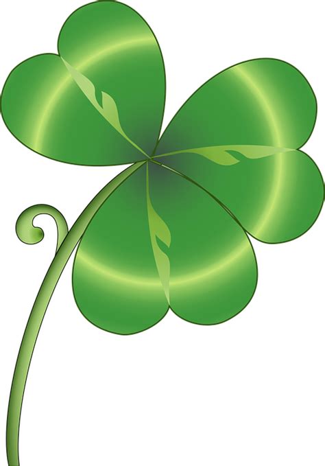 Graphic Shamrock Clover Free Vector Graphic On Pixabay