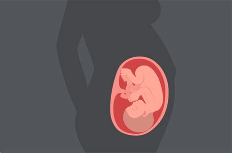 Kondisi rahim telah mencapai tulang iga bagian bawah yang menyebabkan rasa kurang nyaman bagi. undefined