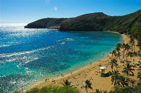 View From The Beach Picture Of Hanauma Bay Nature