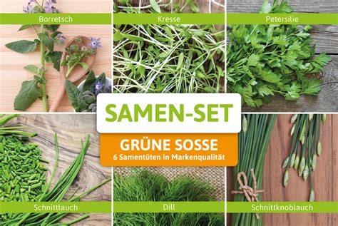 Jemandem nicht grün sein (umgangssprachlich: Grüne Soße-Set: Grüne Soße Mix mit 6 Sorten | Grüne ...