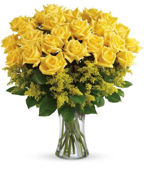 2 Dozen Yellow Roses Long Stem Yellow Roses Flower Shop Memphis Tn