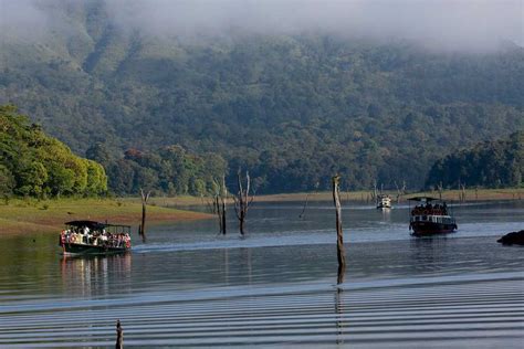 Thekkady Tourism 2024 Kerala Top Places Travel Guide Holidify