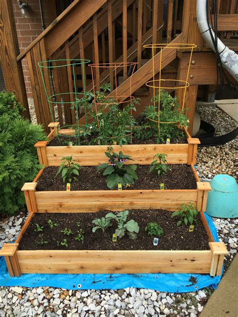 Three Tier Raised Bed Garden With 3 Tomato Plants Red Bell Pepper