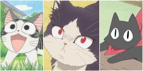 Top 73 Anime About Cats Incdgdbentre
