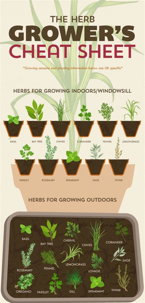 Anyone Can Grow Herbs With This Super Helpful Chart Herb Grower