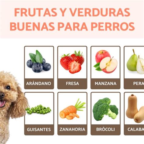 Imagenes De Vegetales Y Frutas