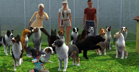 Nalu Moku Kennel Gsd Puppies Avaliable Working Line — The Sims Forums