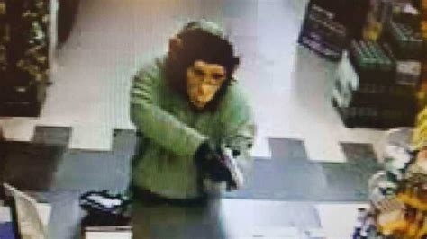 Police Search For Monkey Masked Robber