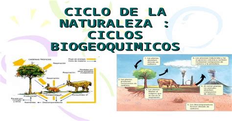 Ciclo De La Naturaleza Ciclos Biogeoquimicos Materia Energia Y Vida