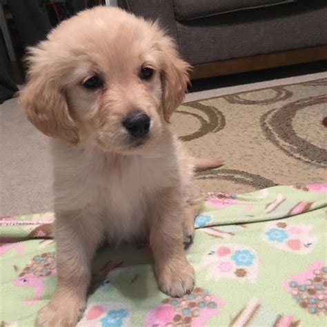 Shop 4 Less Online Garage Sale | Topeka KS