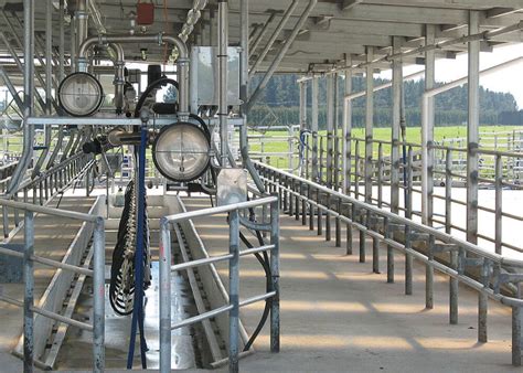 Herringbone Milking Systems Read Industrial Ltd