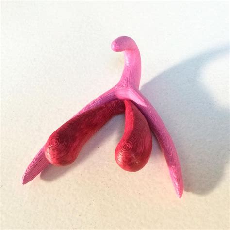 This 3d Printing Of A Female Clitoris Shows How Much You Dont Know