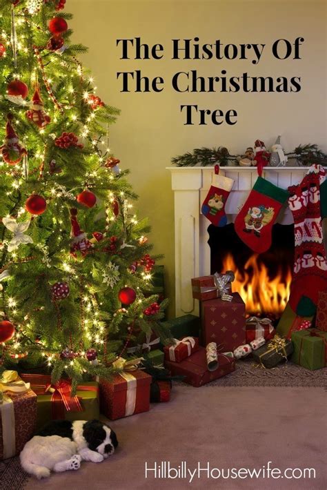 The History Of The Christmas Tree Hillbilly Housewife