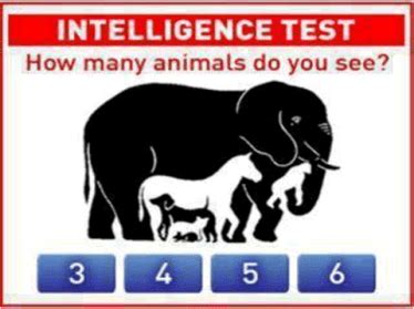 How many animals do you see in this picture