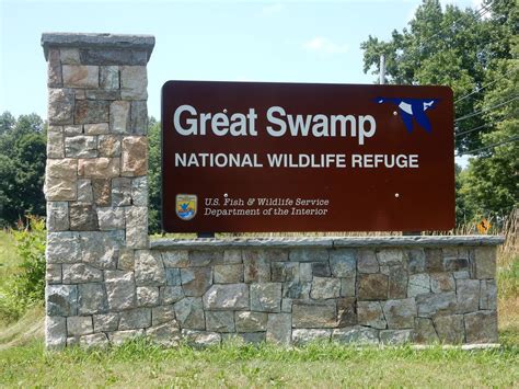 Natural Mid Atlantic Nj Great Swamp National Wildlife Refuge
