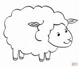 Coloring Sheep Cute Printable Lamb Drawing Paper sketch template