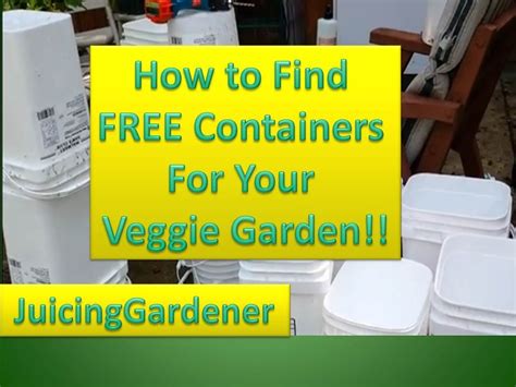 Container Garden Ideas How To Find Free Containers For