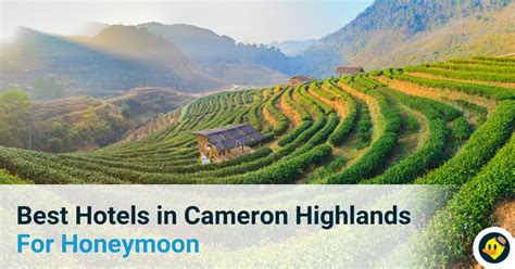 Is copthorne hotel cameron highlands accessible? Best Hotel In Cameron Highlands For Honeymoon | Cameron ...